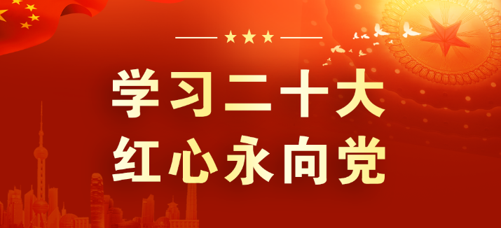 山東三星集團：學習領(lǐng)會二十大 征程踏新永前行